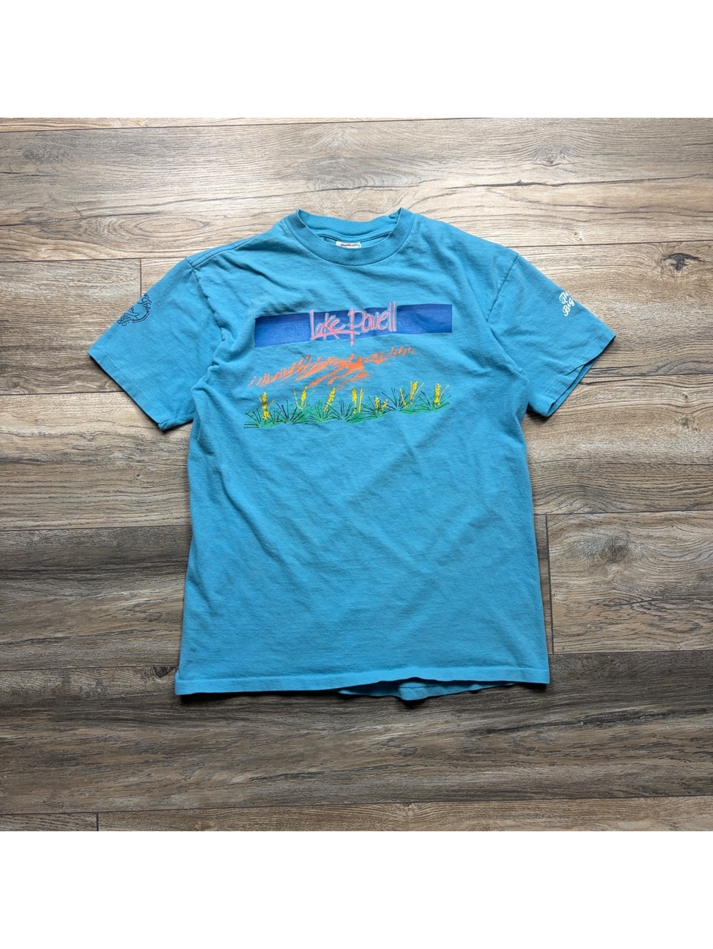 80’s Lake Powell Art tee, distressing and stains, size Large